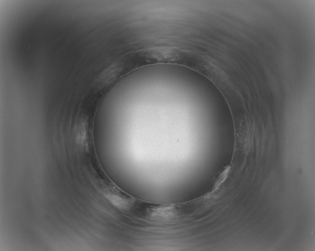 X0000070830132200606191258