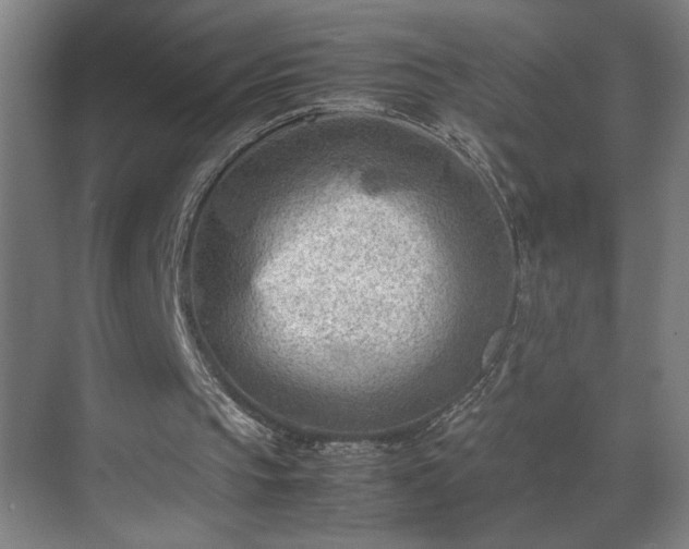 X0000070830145200606191257