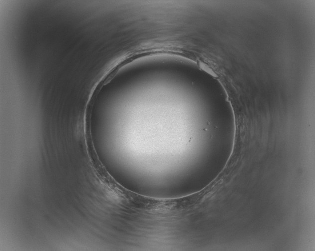 X0000070830148200606191257