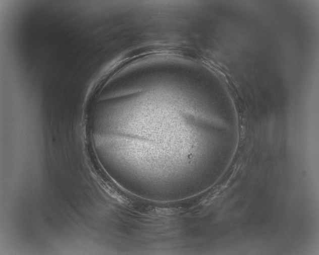 X0000070830149200606191257