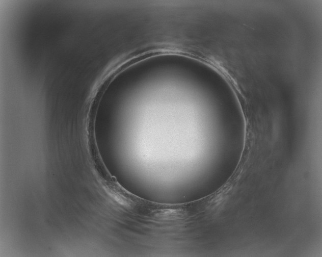 X0000070830151200606191257