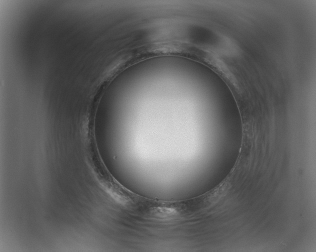 X0000070830159200606191257