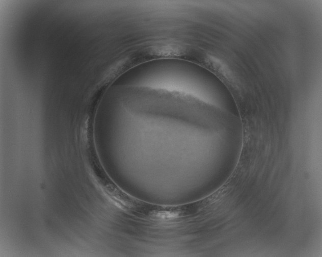 X0000070830163200606191257