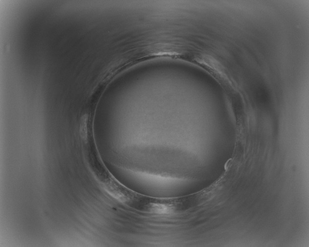 X0000070830167200606191257