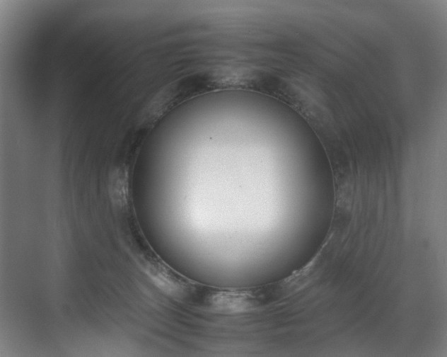 X0000070830179200606191258