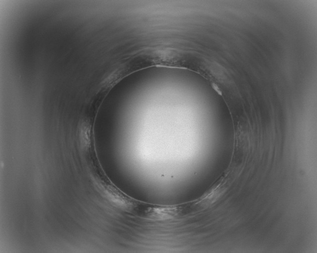 X0000070830188200606191258