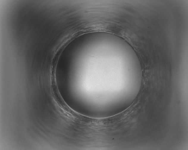 X0000070830194200606191257