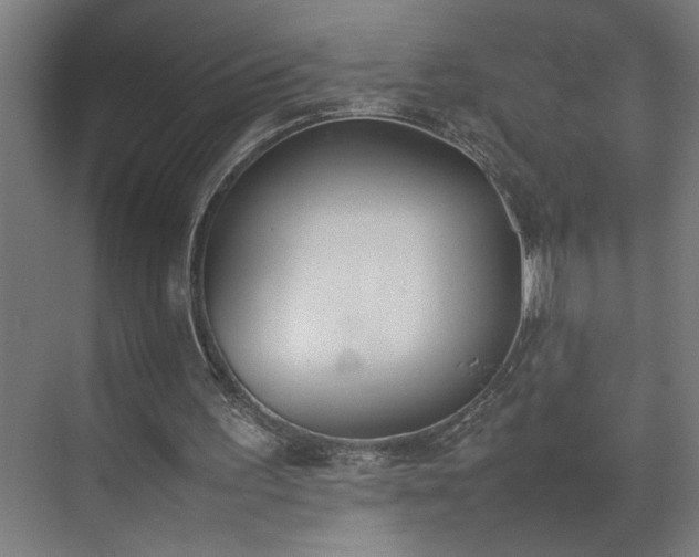 X0000070830195200606191257