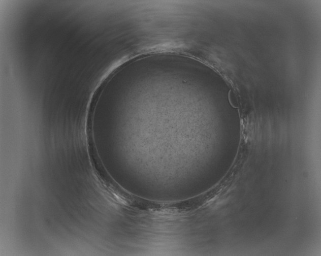 X0000070830196200606191257