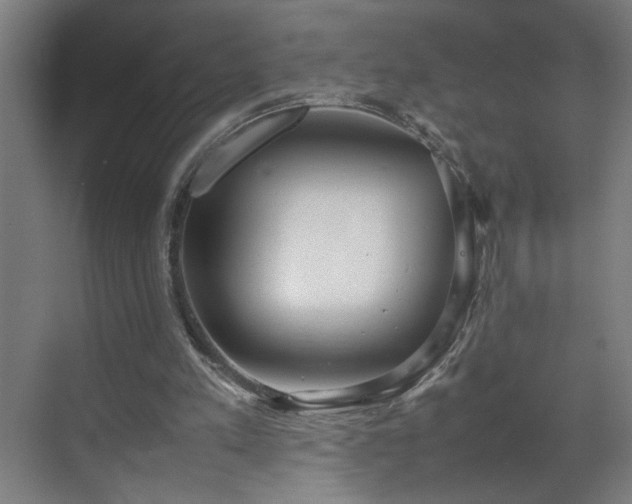 X0000070830197200606191257