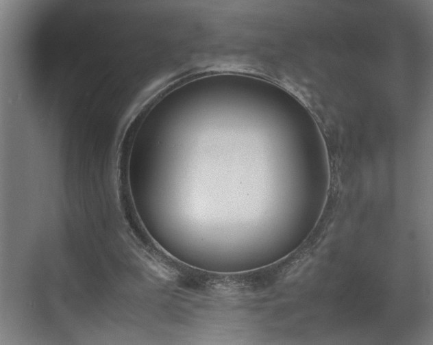 X0000070830199200606191257