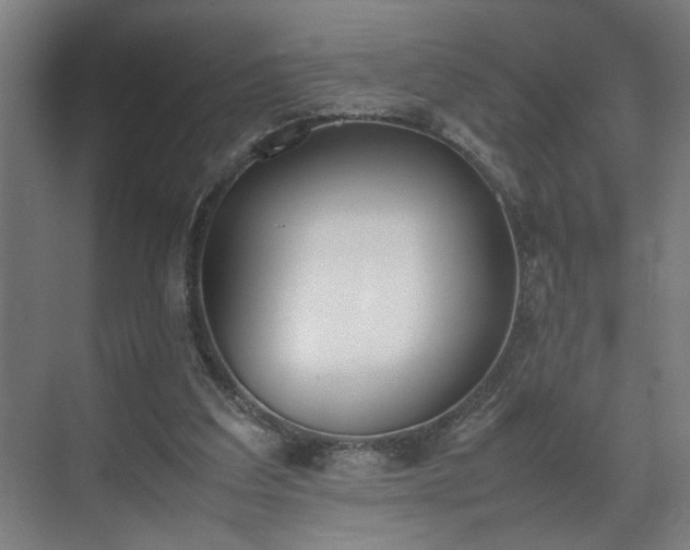X0000070830203200606191257