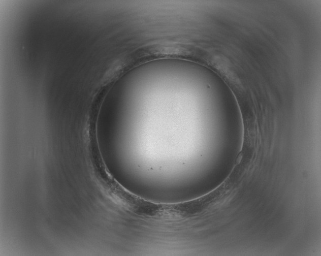 X0000070830207200606191257