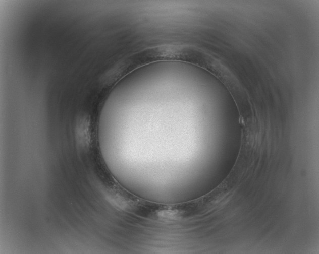 X0000070830216200606191257