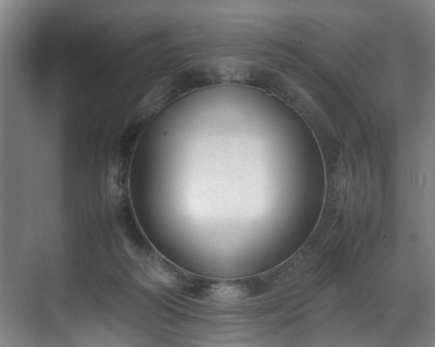 X0000070830218200606191257