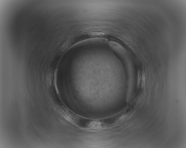 X0000070830227200606191256