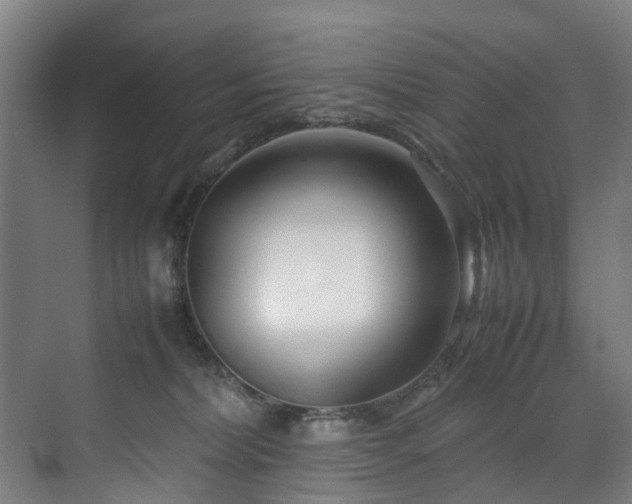 X0000070830228200606191256