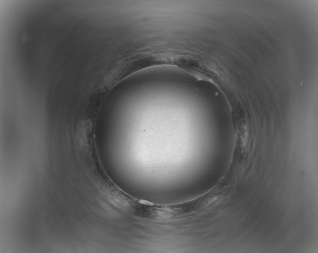 X0000070830229200606191256