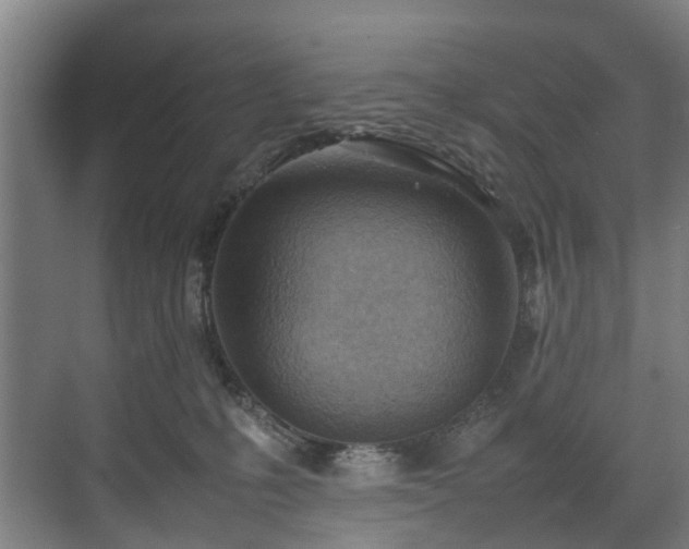 X0000070830231200606191256