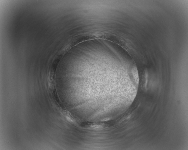X0000070830236200606191256