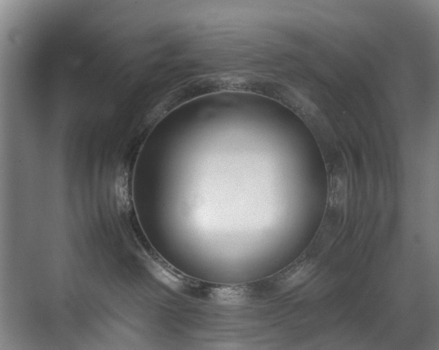 X0000070830238200606191256