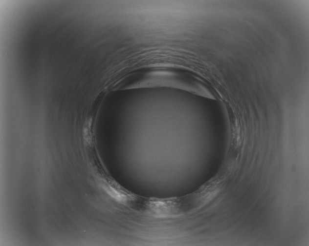 X0000070830239200606191256