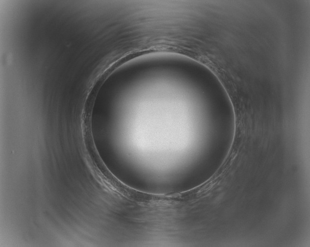 X0000070830242200606191255