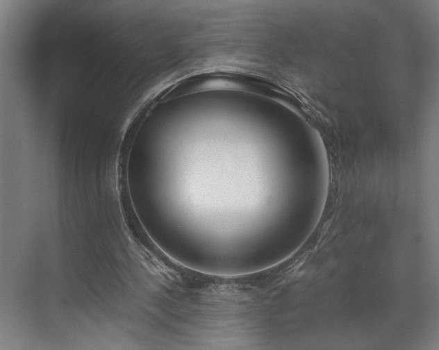 X0000070830244200606191256