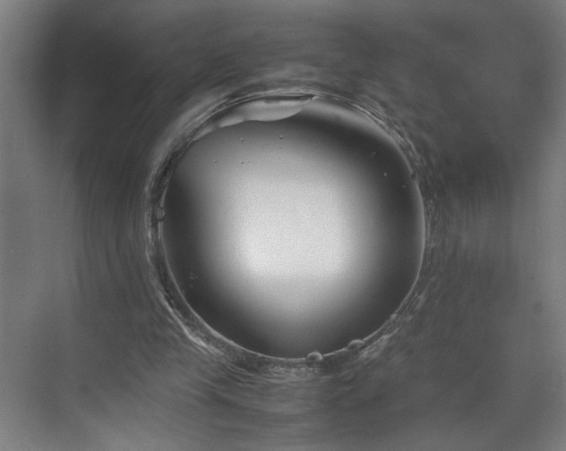 X0000070830245200606191256