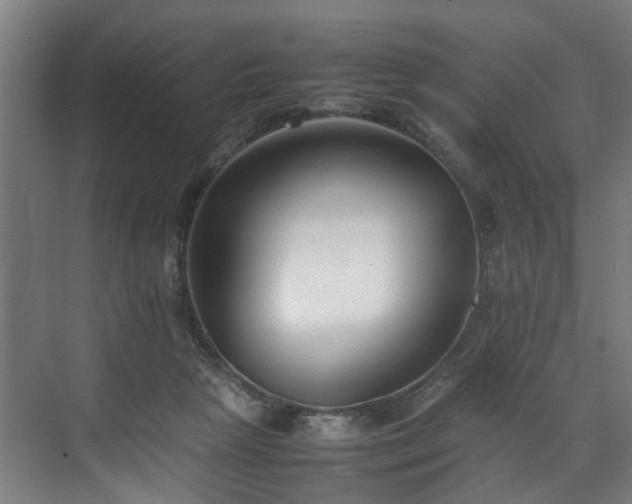 X0000070830265200606191256