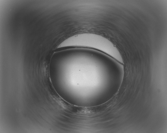 X0000070830276200606191256