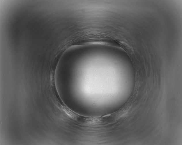 X0000070830288200606191256