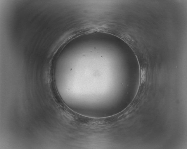 X0000070830291200606191255