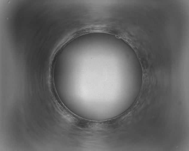 X0000070830293200606191255