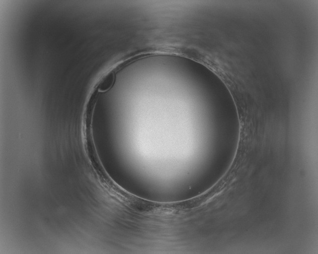 X0000070830294200606191255