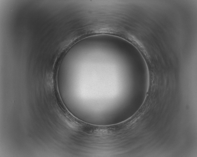 X0000070830298200606191255