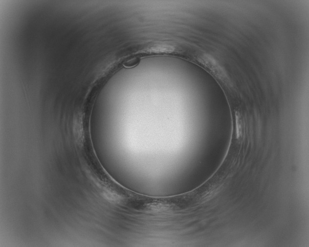 X0000070830300200606191255