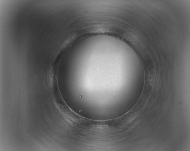 X0000070830304200606191255