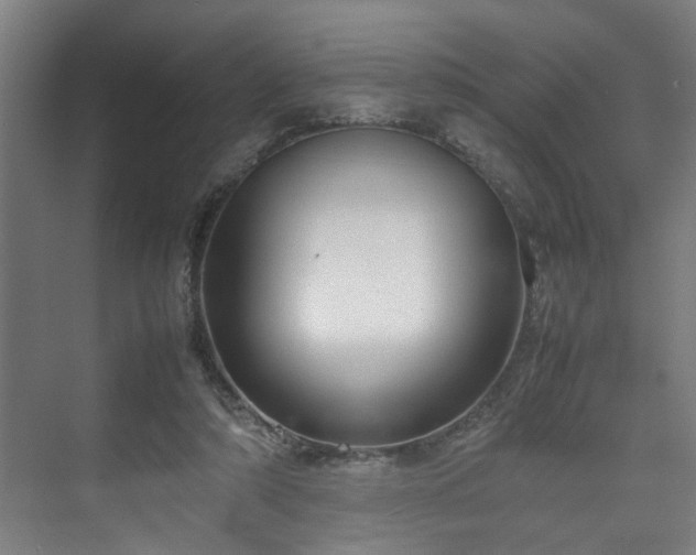 X0000070830306200606191255