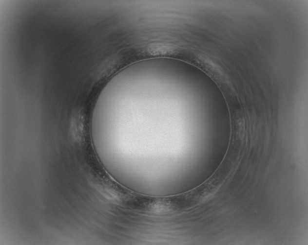 X0000070830308200606191255