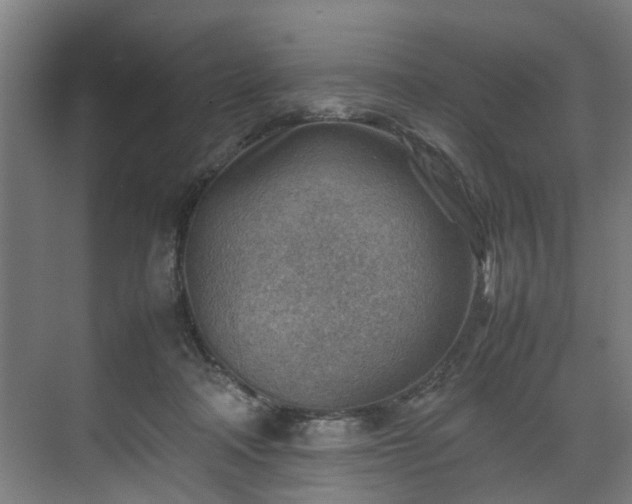 X0000070830314200606191255
