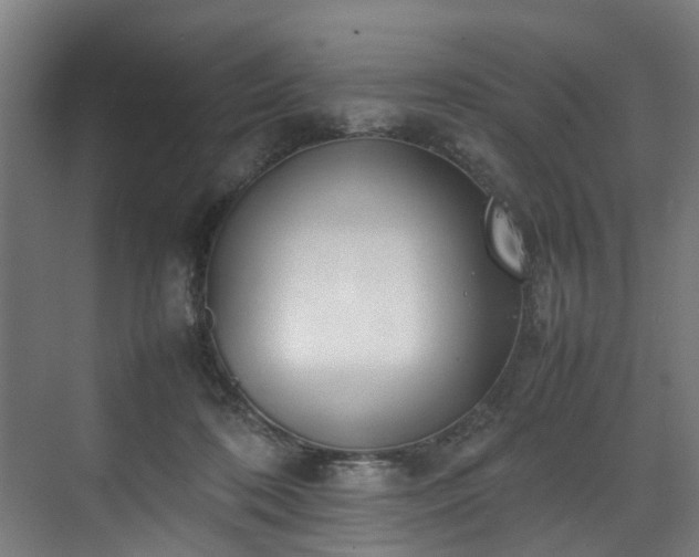 X0000070830316200606191255