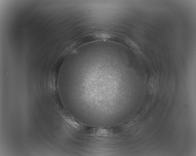 X0000070830330200606191255