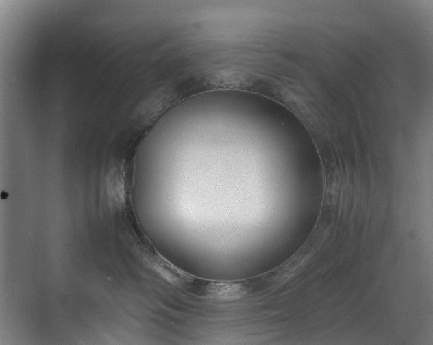 X0000070830334200606191255