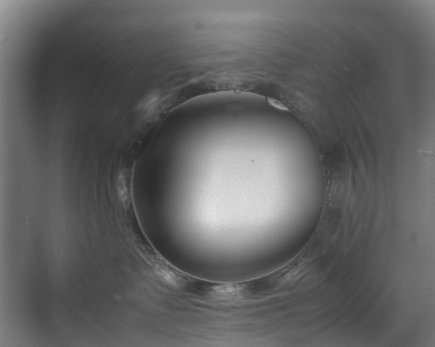 X0000070830335200606191255