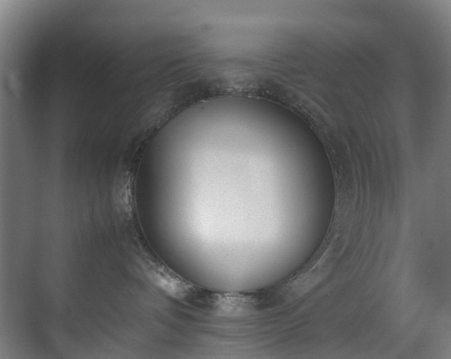 X0000070830336200606191255
