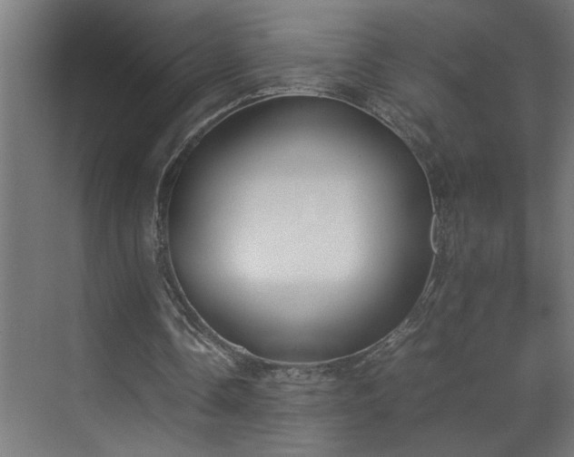 X0000070830338200606191254