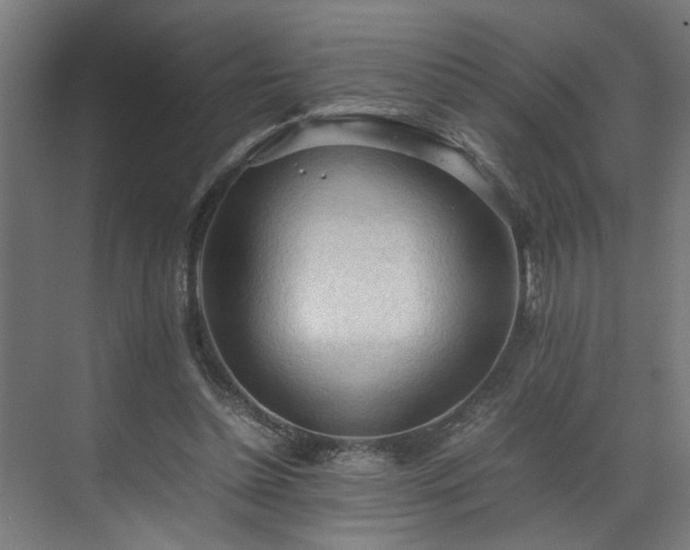 X0000070830348200606191254