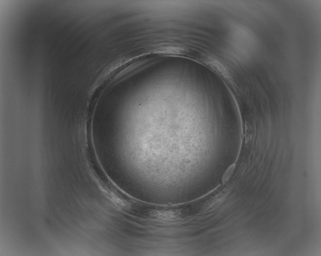 X0000070830349200606191254