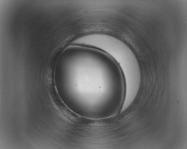 X0000070830356200606191254